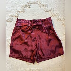 Express Satin Shorts